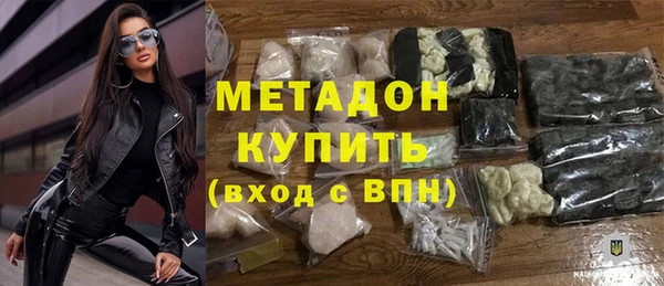 индика Тавда