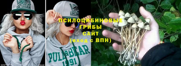 таблы Вяземский