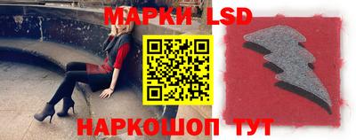 мяу мяу мука Ковров