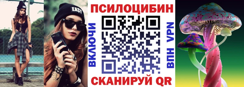 Галлюциногенные грибы Psilocybe  Карасук 