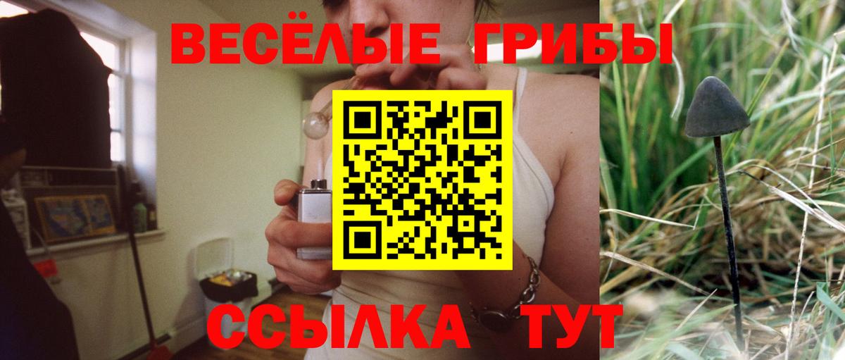 Псилоцибиновые грибы Psilocybine cubensis  Вход с VPN  Псилоцибиновые грибы GOLDEN TEACHER  Карасук 